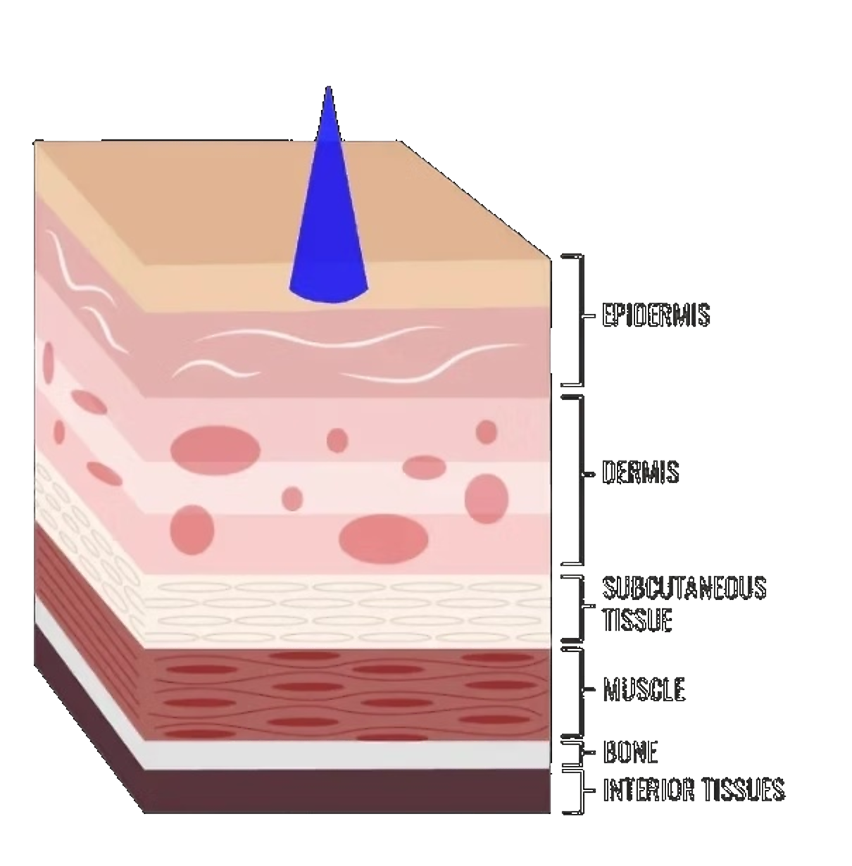 Diagram showing blue light reaching the upper layers of skin